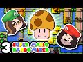 Randomizer BROKE the game! - Mario Randomizer Part : PART 3