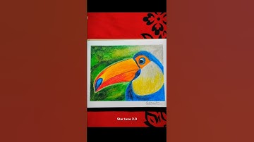 Toucan bird drawing step by step 🔥🔥#shorts #drawing #art #youtubeshorts