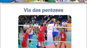 Quais são as funções da via das pentoses?