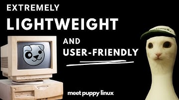 The Most Lightweight And User Friendly Linux Distro | Puppy Linux