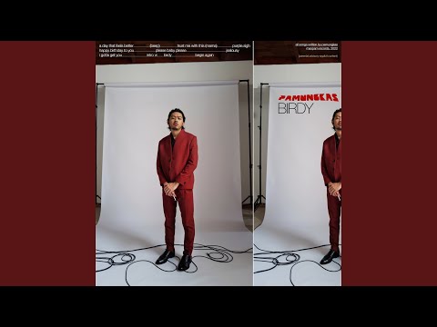 Birdy - Pamungkas