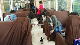 「にゃん鉄」保護猫と列車の旅　岩手の三陸鉄道