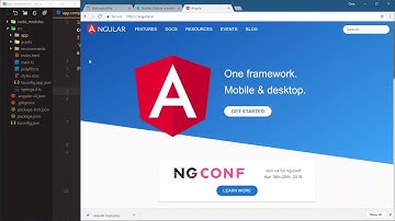 Build Your First Angular Website: #7 Adding an Image