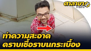 2 ขั้นตอนทำความสะอาดคราบเชื้อราบนกระเบื้อง | ศาลายาการช่าง