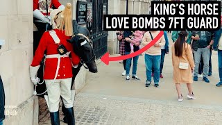 HORSE REALLY HAPPY TO SEE 7FT GUARD! ✨| Horse Guards, Royal guard, Kings Guard, Horse, London