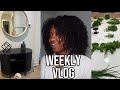 VLOG ~ Im getting into Decor Now Fren! Home Updates, Herb Harvest, Rants + Life Ish...