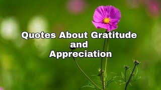 Quotes about Gratitude and Appreciation / Inspiring / Motovational / Quotes of Life screenshot 1