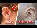 7 Đặc Điểm Trên Cơ Thể Người Giàu Có Mà Người Nghèo Không Bao Giờ Có