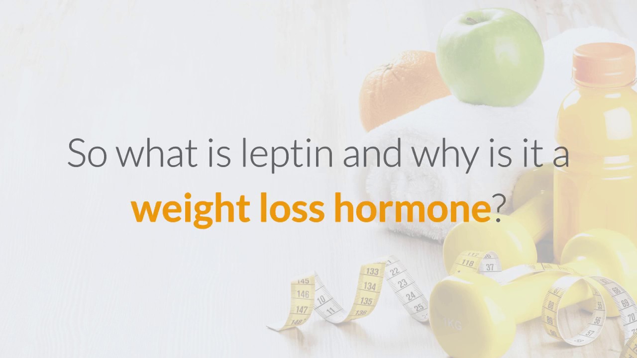 Why Do I Gain Back The Weight I Lose? YouTube