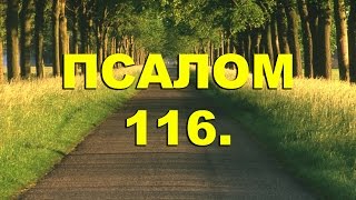 Псалтирь. ПСАЛОМ 116. [рус.]