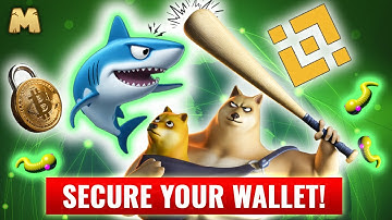 Digital Sharks: Everything About Crypto Security