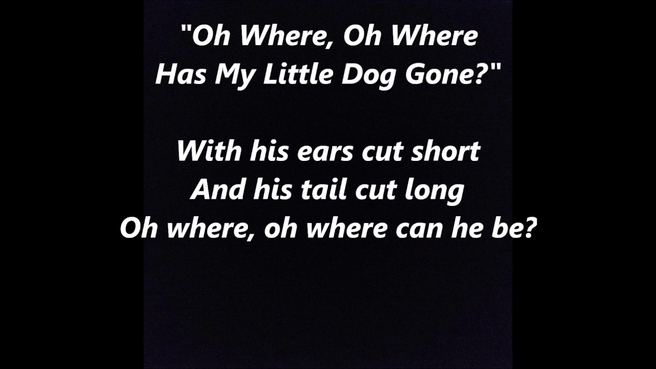 where-oh-where-has-my-little-dog-gone-lyrics-words-best-top-popular
