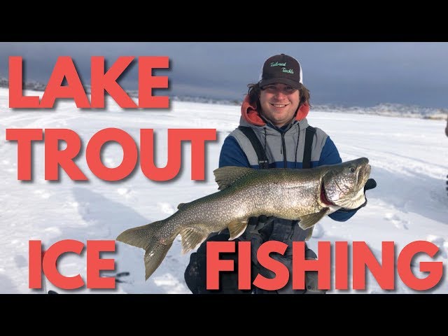 Beginner Fishing Tackle for Lake Fishing - Tailored Tackle