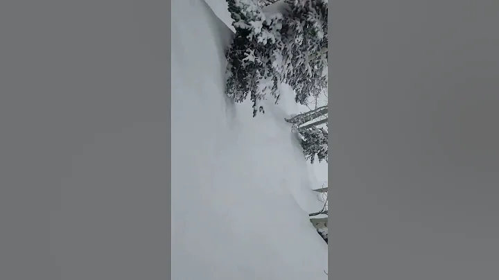 Dashing through the snow