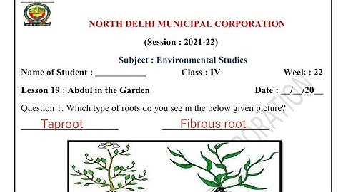 NDMC Class 4 Week 22 Evs Environment Studies Class 4 वीक 22