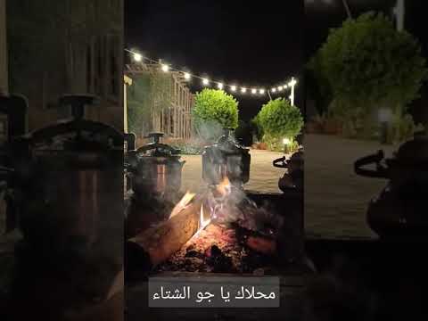 تصويري شيلة محلاك يا جو الشتاء 