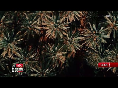 سواليف مع نرجس وخلف والمشاري جولة من داخل القطاعات الخاصة والحكومية السعودية لرصد عودة الحياة