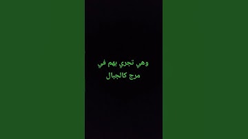وهي تجري بهم في موج كالجبال #سورة_هود #القارئ_ناصر_العصفور