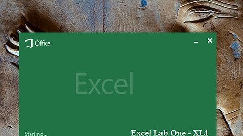 Microsoft Excel Lab One