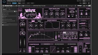 Wave Witch Native Instruments Reaktor User Library Free VST  Preset Library 1