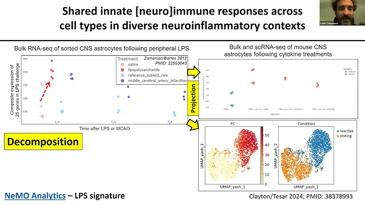Harnessing Public Multi-omics data to Discover Shared Mechanisms in Neuroinflammation