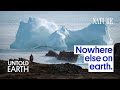 Why Do Hundreds of Icebergs Keep Visiting This Town? Mp3 Song