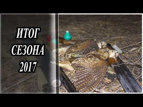 Охота на вальдшнепа видео 2017 весна свежие серии