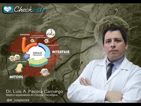 Vídeo: Diferencia Entre El Ciclo Celular Canceroso Y El Ciclo Celular Normal