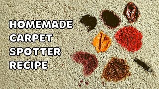 The Best Way to Tackle Tough Carpet Spots