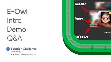 Solution Challenge Demo Day 2021 Project: E-Owl