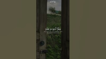 من سورة الإنسان || القارئ #بدر_التركي#لايك #اكسبلور #آية #راحة_نفسية #بدر_التركي #تلاوة_خاشعة