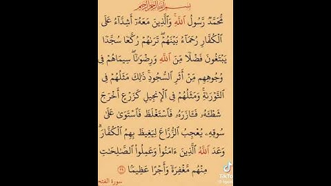 الآية 29 من سورة الفتح