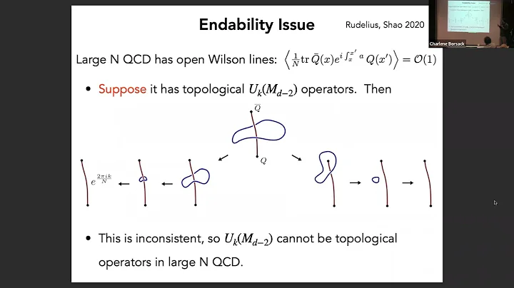 Theodore Jacobson - "1-form symmetry versus large ...