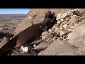 B-36 Crash Hike