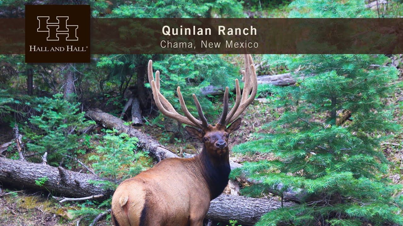 New Mexico Ranch For Sale - Quinlan Ranch