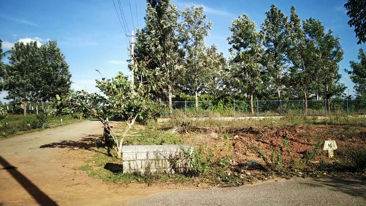 Biaapa sites coffee board(3)