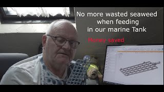 No more wasted seaweed when Feeding in our Marine Tank