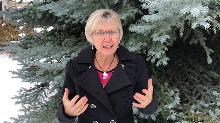 Ruth Verbree Testimonial for Mitzi Perdue