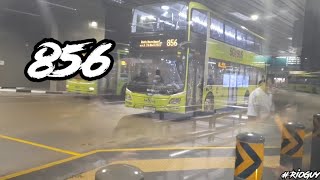 (TTS) MAN A95 ND323F (Euro V) (Batch 3) (SG5866Z) on TTS bus service 856