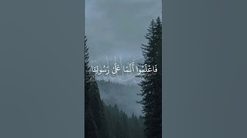 ما تيسر من سورة المائدة #الشيخ_ناصر_القطامي #راحة_نفسية #المصحف #لايك #اكسبلور