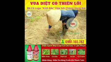 Diệt sạch cỏ tận gốc - Chỉ 1 lần phun