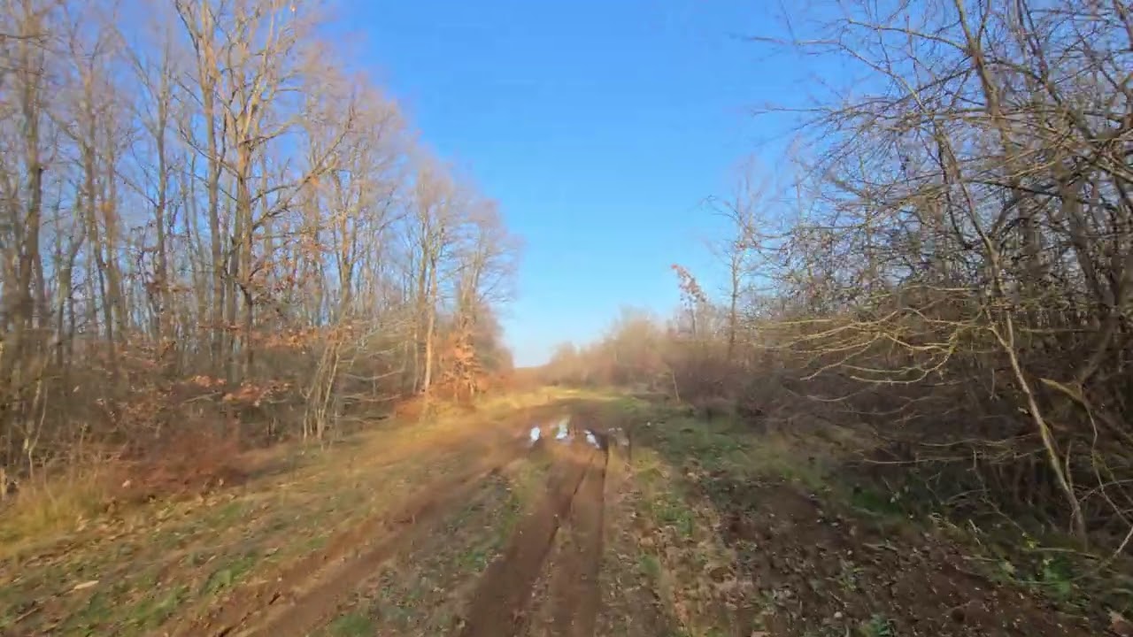 Balkaya Yolu Ceneviz Kalesi Yürüyüşü