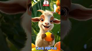 Caca Marica - Anak Kambing Saya #shorts #laguanak #laguanakindonesia #cacamarica #anakkambinglucu