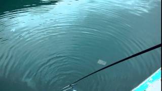 DSCF1463