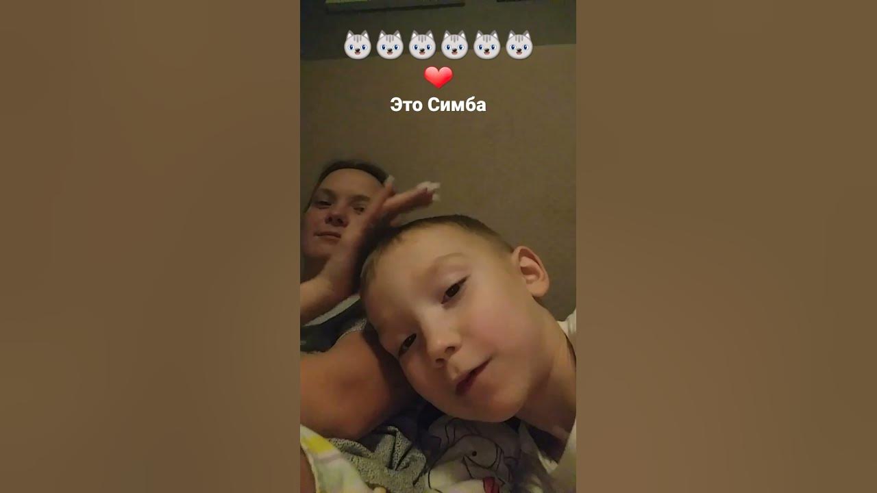 симбочка-пимбочка🐈💓💓💓💓💓💓💓💓💓💓💓 - YouTube