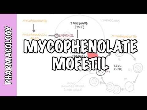 Mycophenolic Acid - Mycophenolate (اعضاء کی پیوند کاری اور DMARD) - عمل کا طریقہ کار، ضمنی اثرات