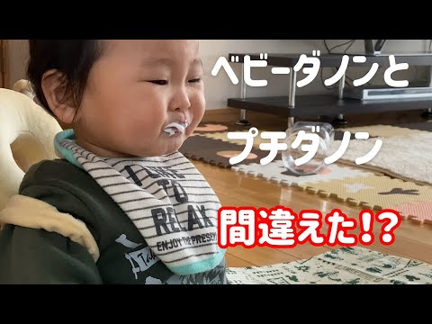 プチダノンとベビーダノンを間違えて食べさせた I Ate Petit Danone And Baby Danone By Mistake 10 Months After Birth Youtube