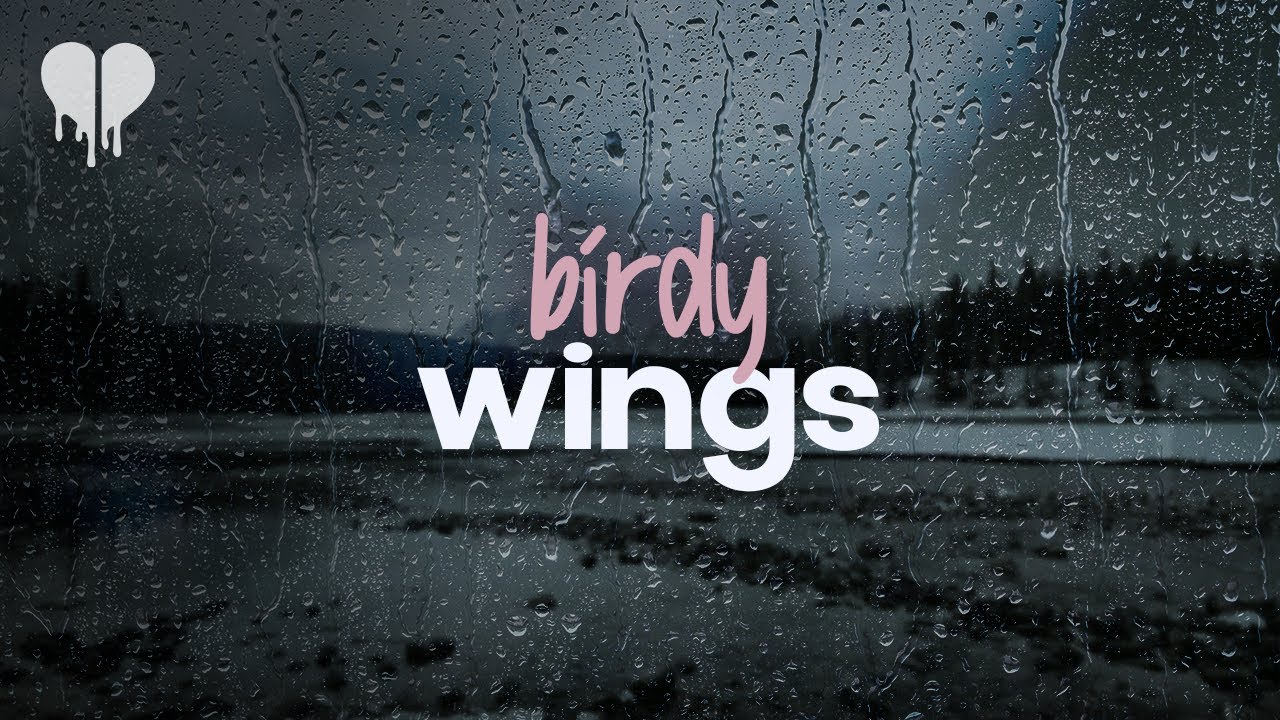 Birdy   wings it made me think of you lyrics