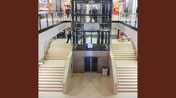 Luxurious Backdrops for Uncomfortable Elevators