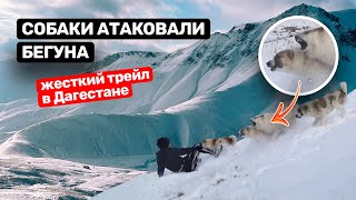 Жесть на горном забеге в Дагестане